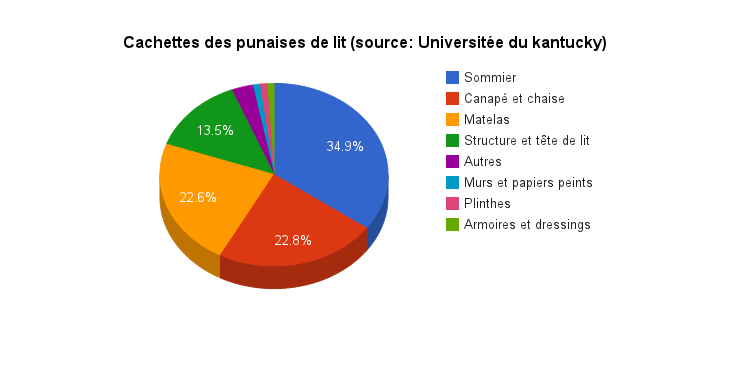 cachettes-punaise-de-lit-centrale-anti-nuisibles